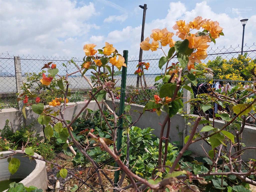 Cần bán nhà ven sông, gần phà bình khánh, cầu cần giờ đang xây dựng