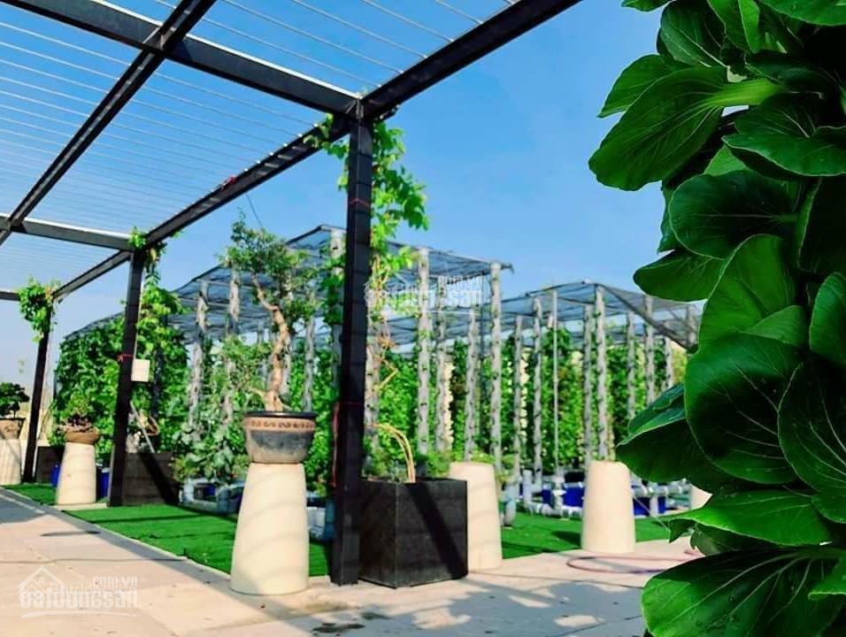 Rẻ! chung cư cao cấp cho thuê full tiện nghi và đầy đủ tiện ích dành cho các bạn trẻ và chuyên gia