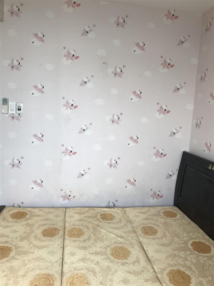 Hot! cho thuê chung cư useful  thuận việt  lữ gia 12pn/6090m² full nt 9tr gần đhbky dược ...