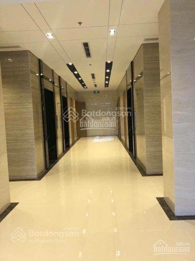 Giá tốt! chốt nhanh! chung cư 8x đầm sen cùng với saigonhomes 12 phòng ngủ 4590m2 khoảng từ 2tỷ