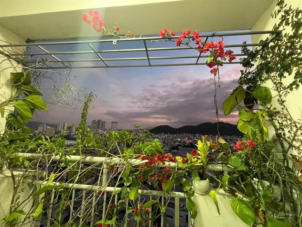 Cần tiền bán căn chung cư hoàng quân có sẵn nội thất, view xéo biển và phố. sổ đỏ lâu dài