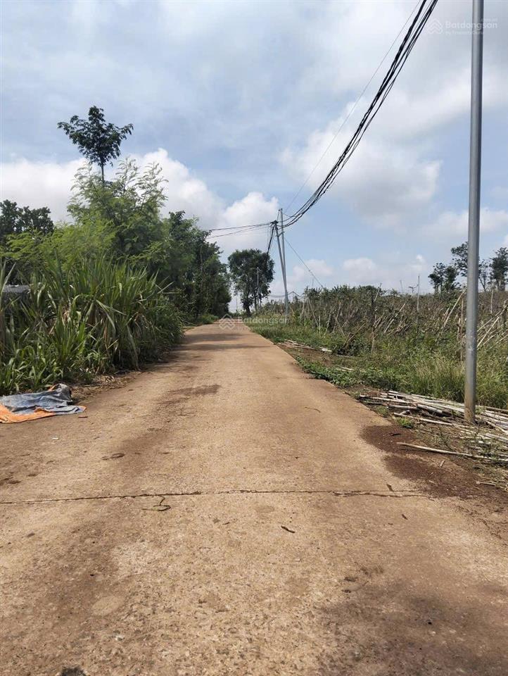 Bán gấp 2500m2 100m2 tc, bê tông, 3 mặt tiền, cách nhựa 300m2, sổ 1,7 tỷ.  a nhật