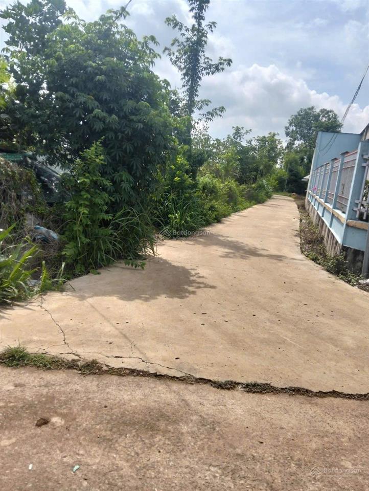 Bán gấp 2500m2 100m2 tc, bê tông, 3 mặt tiền, cách nhựa 300m2, sổ 1,7 tỷ.  a nhật