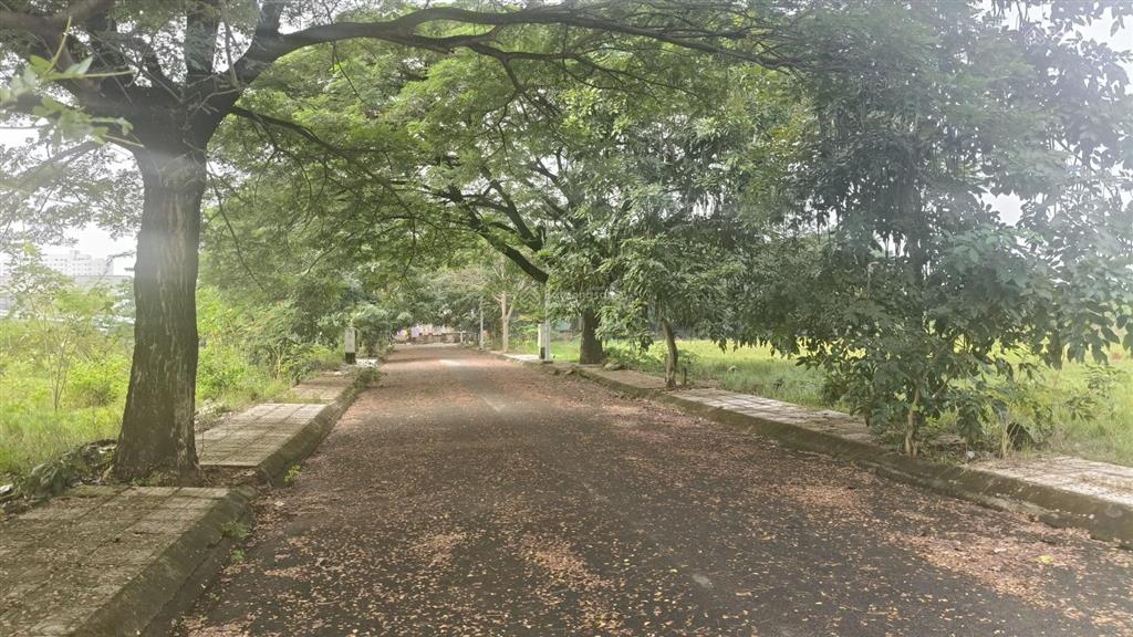 Bán đất tại đào tông nguyên, phú xuân, nhà bè, hcm, 7 tỷ, 200m2