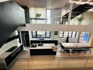 (tin chính xác) cho thuê biệt thự đủ loại diện tích dt 600m2 giá 409triệu/t vinhomes central park.
