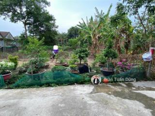 Bán gấp lô đất dân giá rẻ diên lạc diên khánh