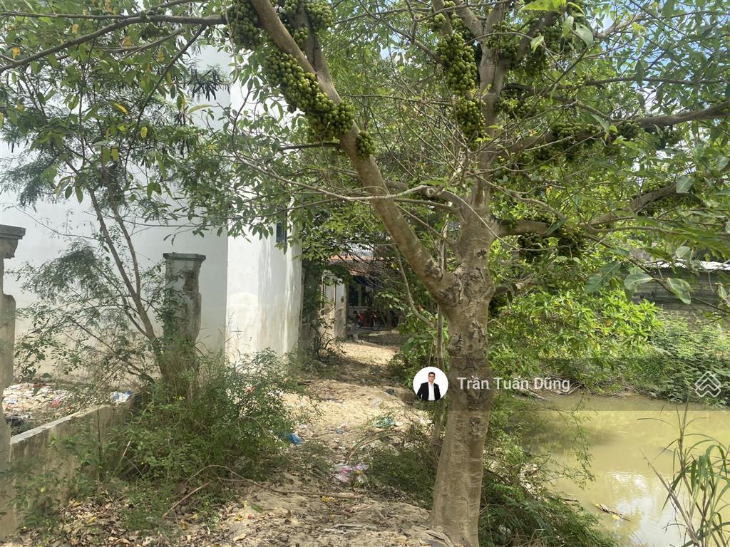 Bán gấp lô đất giá rẻ tại phường tay nha trang