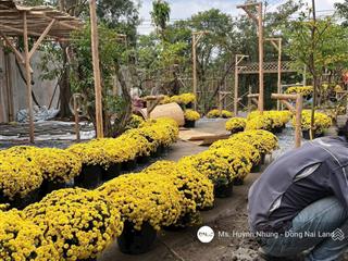 Bán đất mặt tiền đỗ văn thi, phường trấn biên, khu dân cư hiện hữu, giá tốt