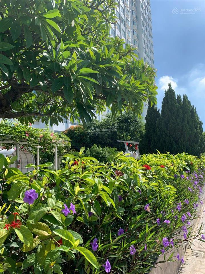 Căn hộ 120m2, 3pn lớn hoàng anh lakeview residence full nội thất đẹp 30 tr/tháng