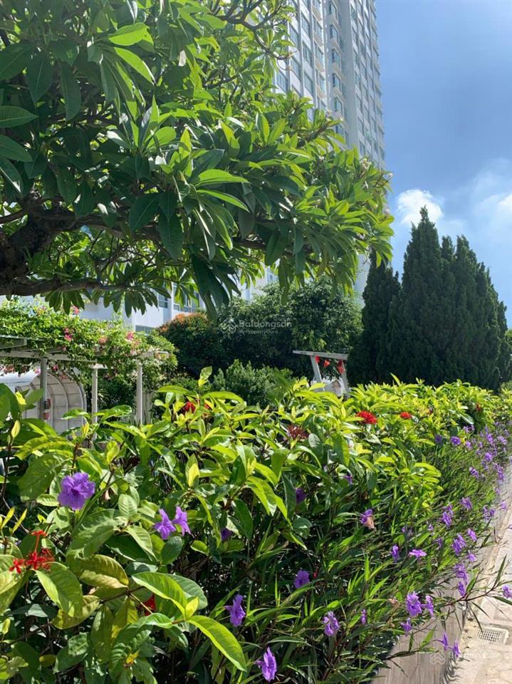 32tr/tháng căn hộ cao cấp 3pn 117,6m² 2 view biển full nội thất xách vali vào ở