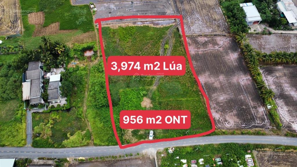 Đất thổ đường nhựa. mt đường đăng mỹ, cách quốc lộ 1km. đất 4.400m2 ngang 50m x 84m nở hậu, giá tốt