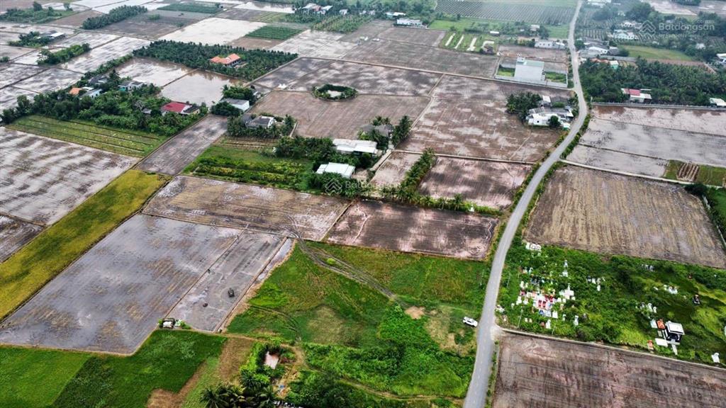 Đất thổ đường nhựa. mt đường đăng mỹ, cách quốc lộ 1km. đất 4.400m2 ngang 50m x 84m nở hậu, giá tốt