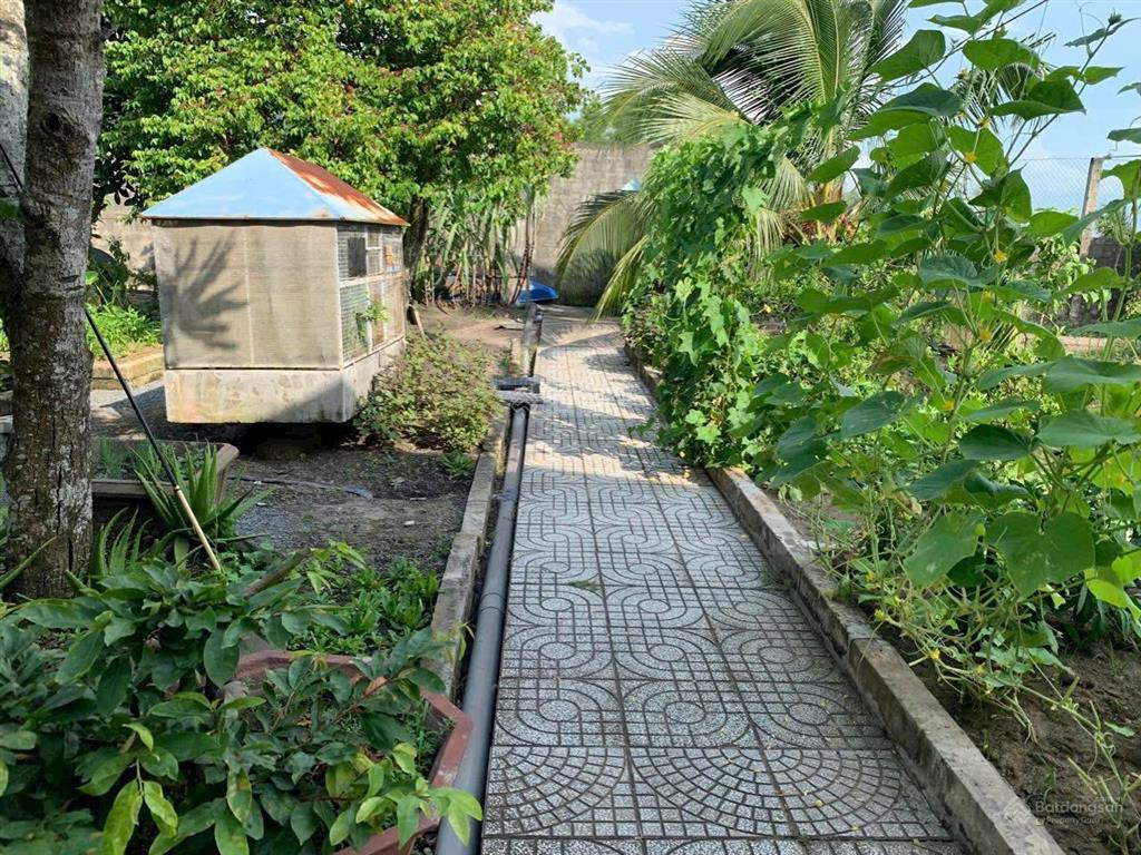 Nhà vườn  nhà yến  có nhà xưởng cho thuê, thu nhập ổn định giá bán hết 29 tỷ
