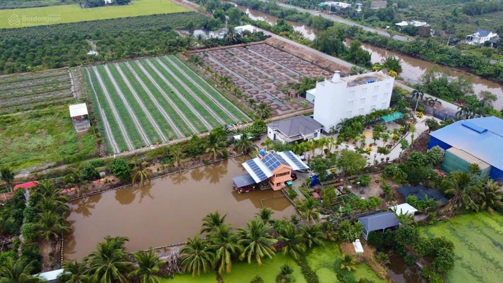 Nhà vườn  nhà yến  có nhà xưởng cho thuê, thu nhập ổn định giá bán hết 29 tỷ