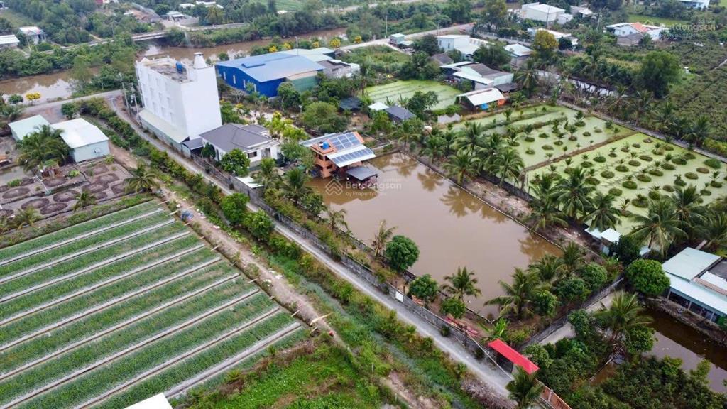 Nhà vườn  nhà yến  có nhà xưởng cho thuê, thu nhập ổn định giá bán hết 29 tỷ