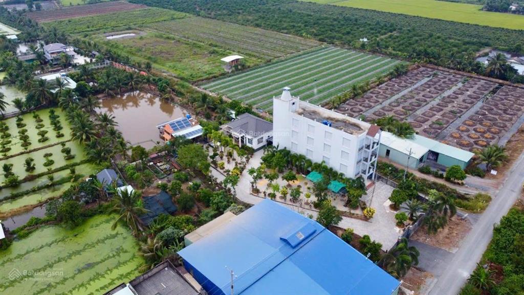 Nhà vườn  nhà yến  có nhà xưởng cho thuê, thu nhập ổn định giá bán hết 29 tỷ