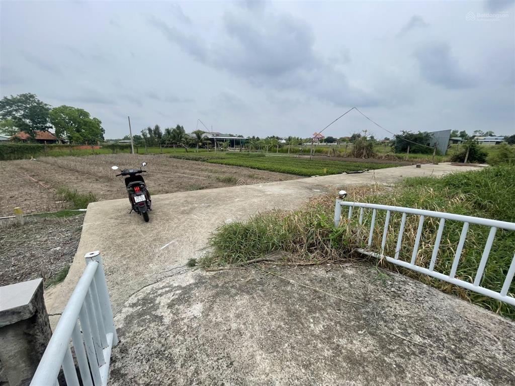 Nền đất ở view sông thoáng mát 7x42m=300m2 đường đặng văn búp, phước lý, tây ninh (long an cũ)