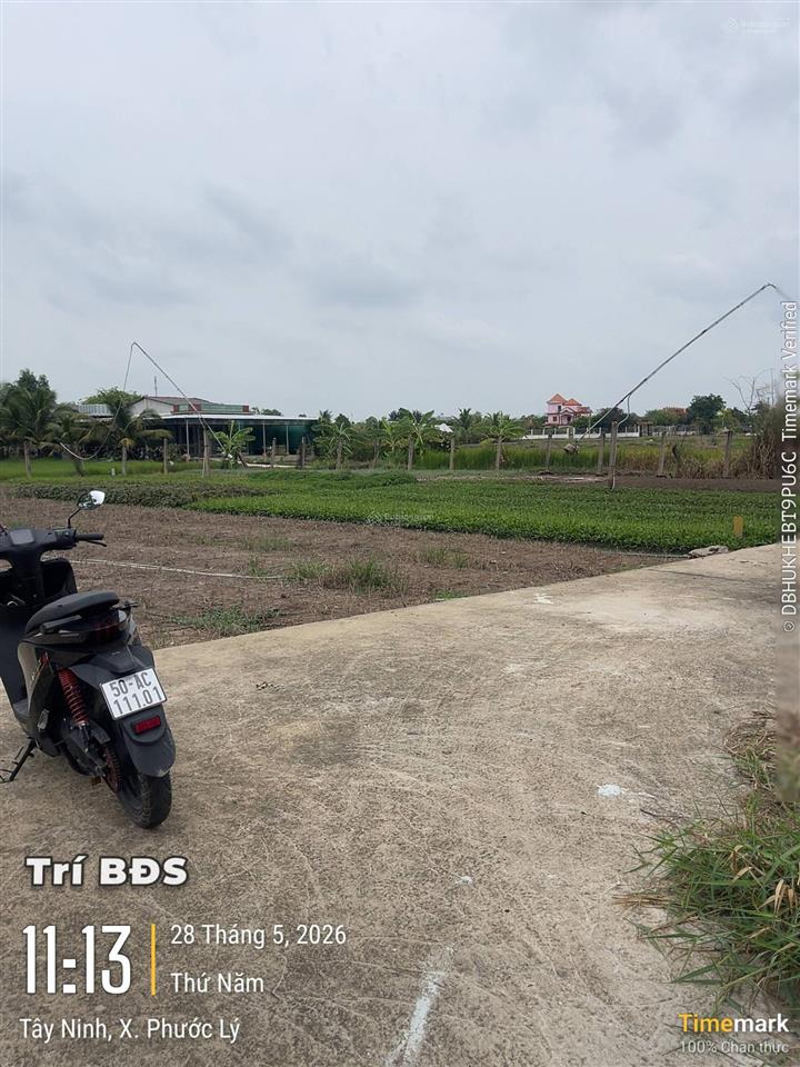 Nền đất ở view sông thoáng mát 7x42m=300m2 đường đặng văn búp, phước lý, tây ninh (long an cũ)