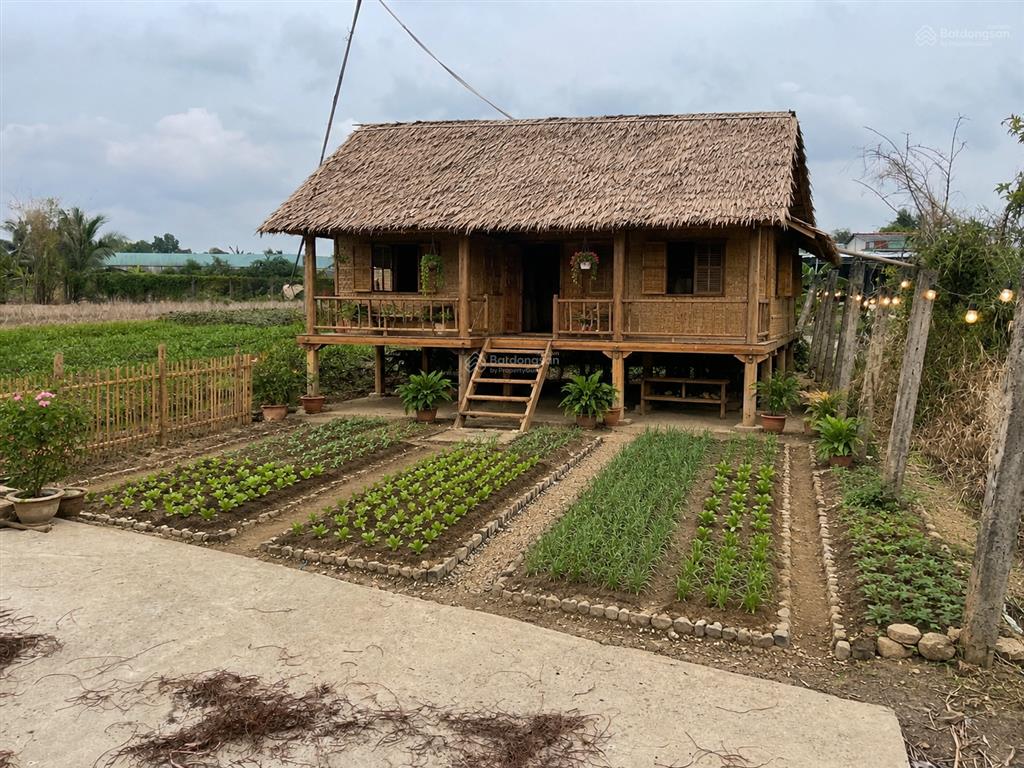 Nền đất ở view sông thoáng mát 5x42m=204m2 đường đặng văn búp, phước lý, tây ninh (long an cũ)
