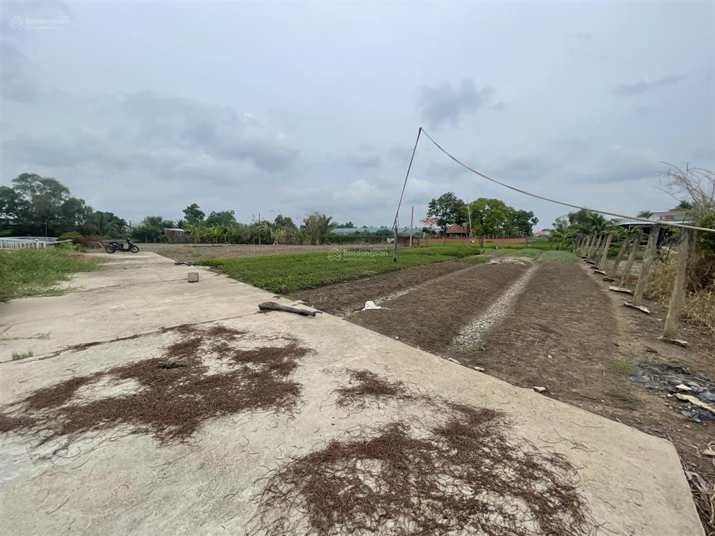 Nền đất ở view sông thoáng mát 5x42m=204m2 đường đặng văn búp, phước lý, tây ninh (long an cũ)