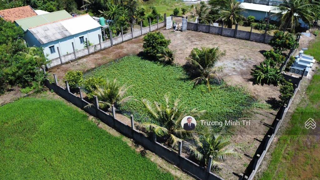 Đất lúa 1000m2 hẻm xe hơi, cách đt826 chỉ 200m  giá tốt