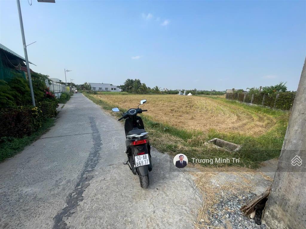Đất lúa mặt tiền đường bê tông 3m  diện tích 1.356m2 ngang 40m