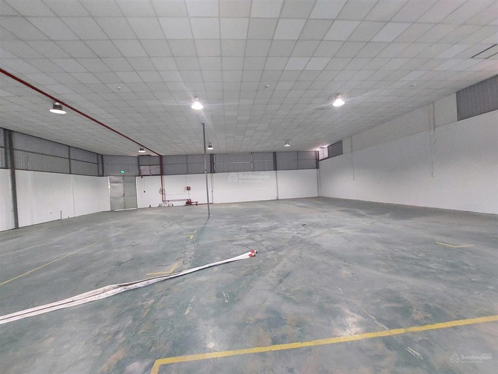 Thuê kho quận 7 1.200m2 | mặt tiền | container 24/7 | pccc chuẩn mua bảo hiểm.
