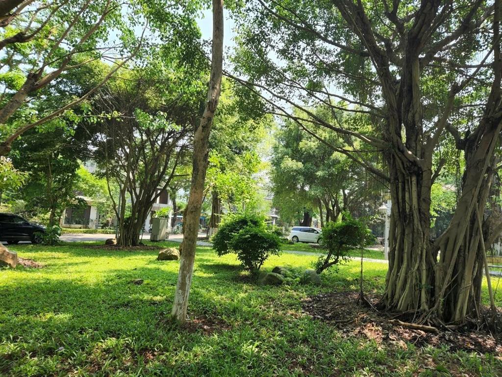 Bán biệt thự song lập mimosa diện tích 198m2 sử dụng 500m2 nhà hoàn thiện đẹp.  0932 375 ***