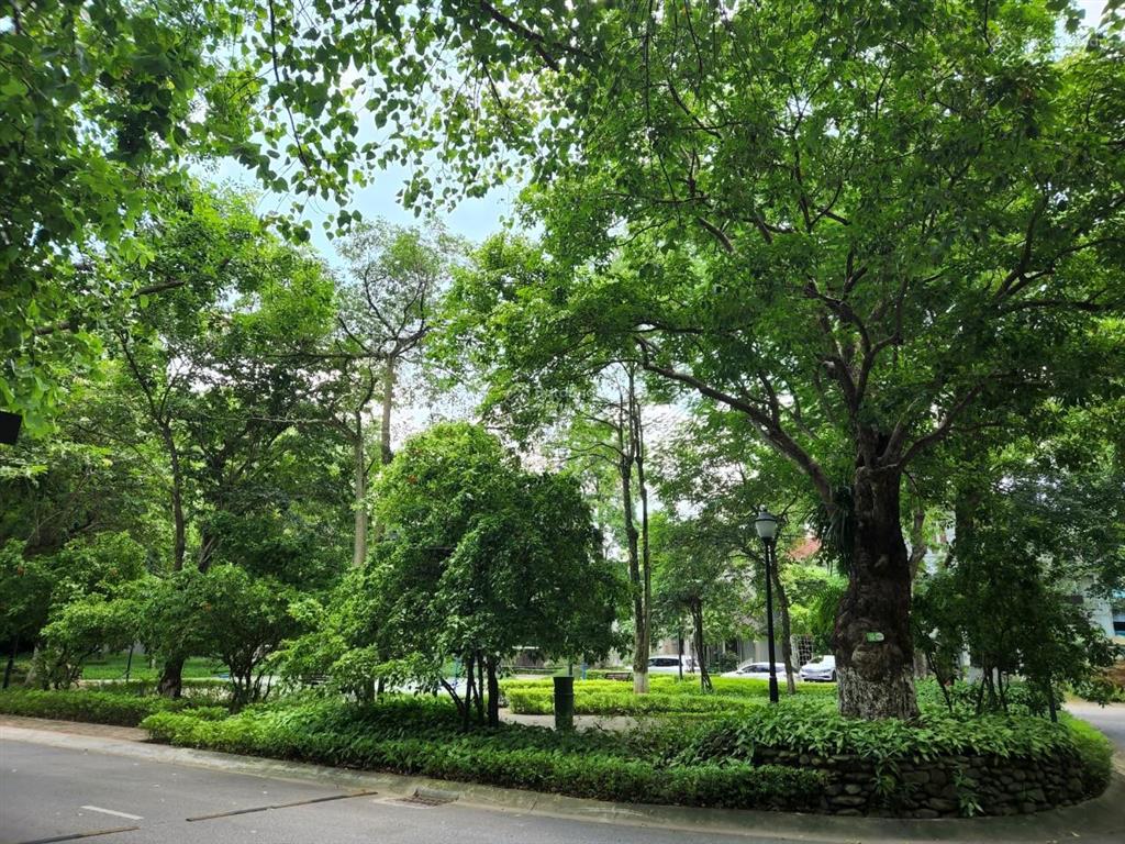 Bán biệt thự vườn mai căn góc khu đô thị ecopark 400m2 nhà xây thô. giá cần bán nhanh
