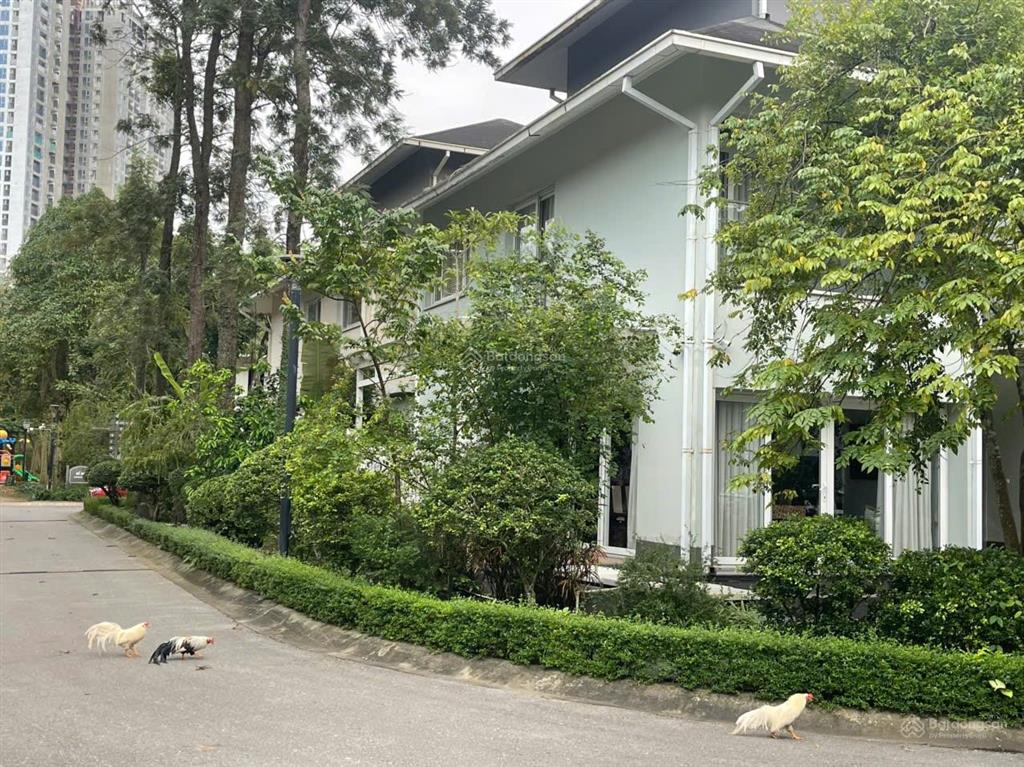 Chính chủ gửi bán biệt thự đơn lập góc mặt lõi vườn mai 319,5m2  2 mặt đường