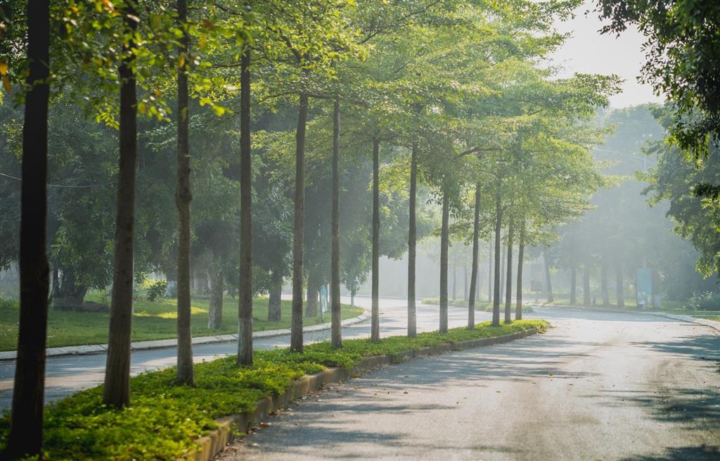 Bán biệt thự vườn mai đơn lập 324m2, nhà thô, giá bán 155 triệu/m2