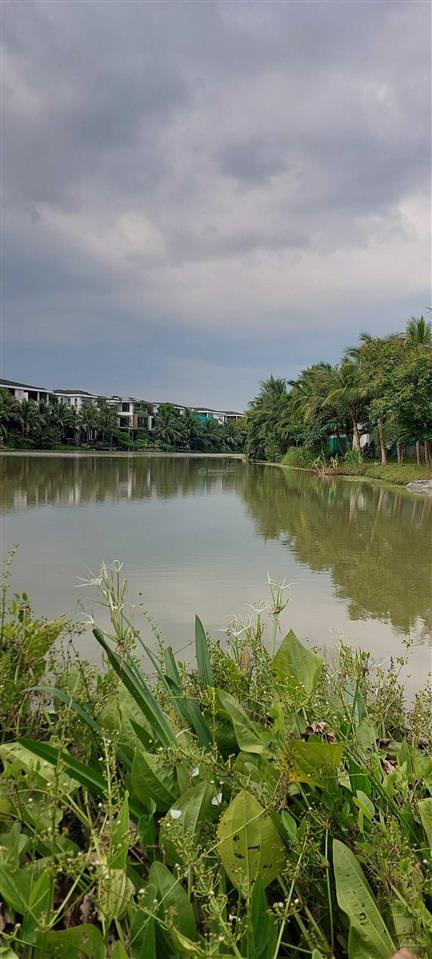 Cần bán gấp biệt thự đảo ecopark. diện tích 270m2. xây thô. hồ tây bắc 0932 375 ***