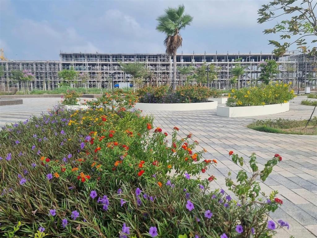 Chính chủ bán gấp lô đất nền vị thanh 95m² full thổ, giá công khai 1,2 tỷ có đàm phán