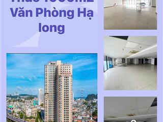 Chính chủ cho thuê full sàn 1000m2 văn phòng, tầng 3, tòa chung cư trung tâm hồng gai, hl