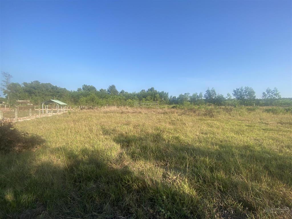 1017m2 xã xuyên mộc, tphcm. sổ riêng thổ cư 60m2