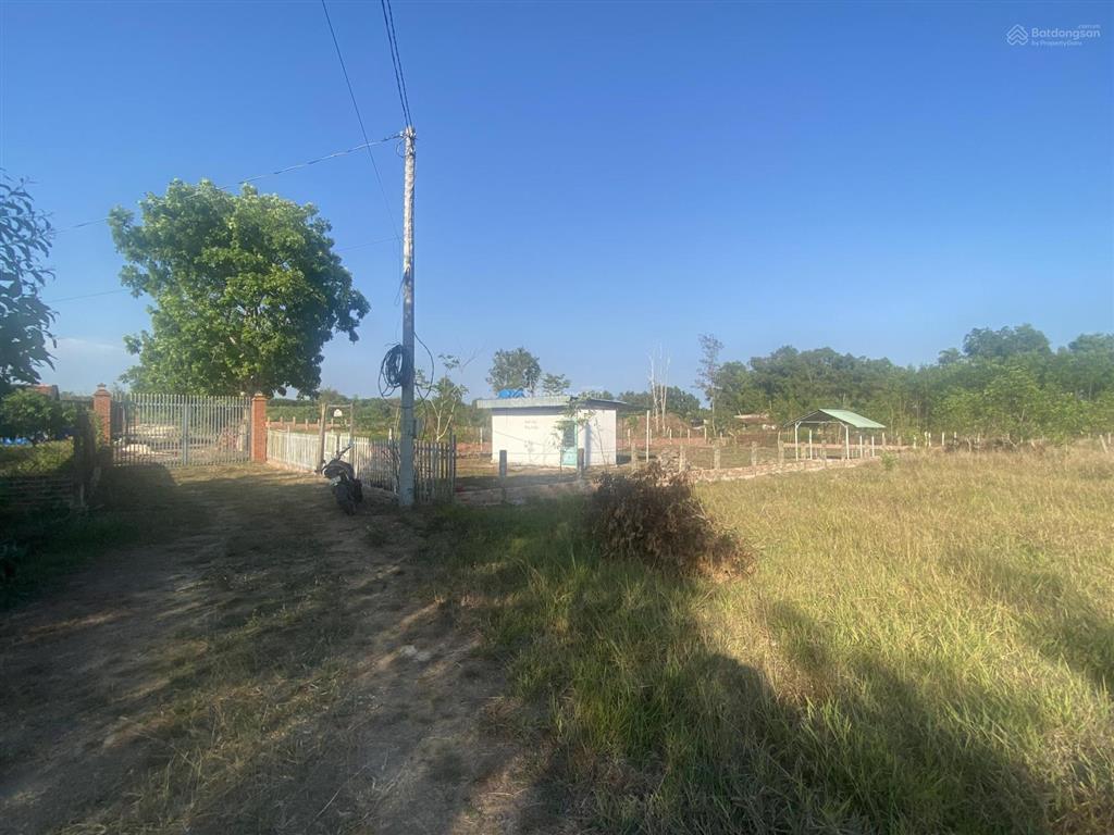 1017m2 xã xuyên mộc, tphcm. sổ riêng thổ cư 60m2