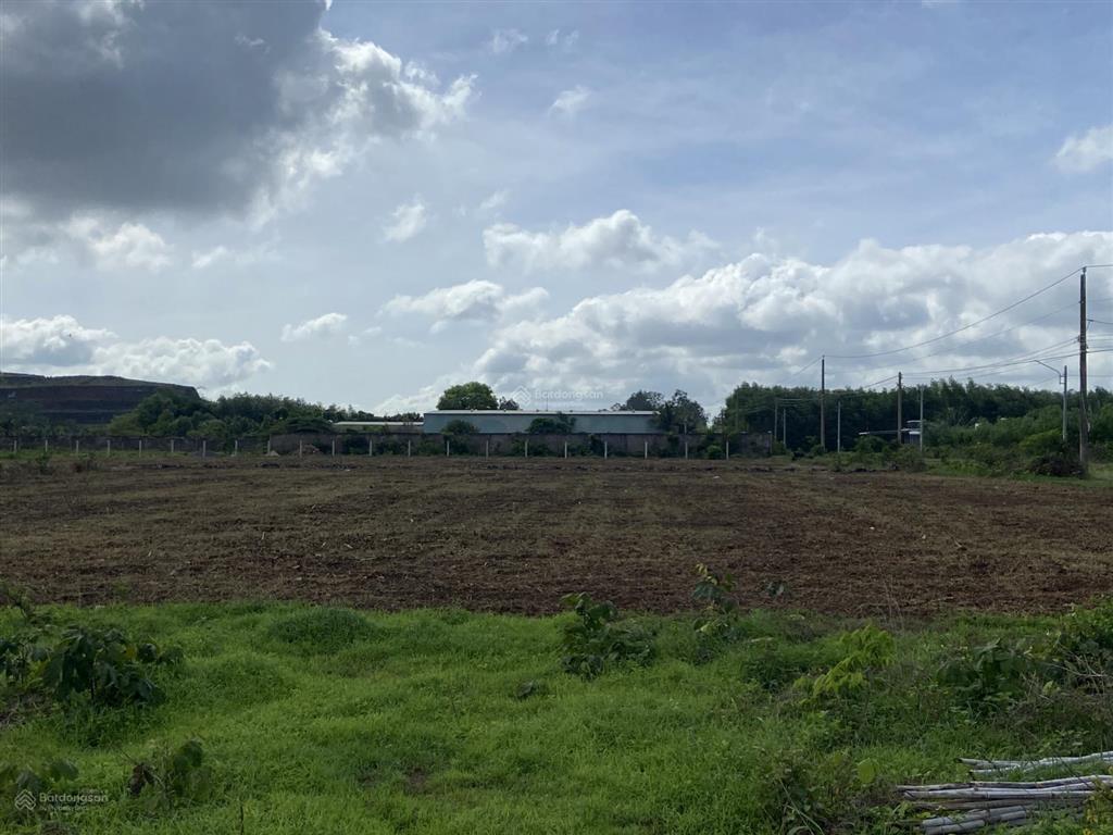 1211m2 xã đất đỏ, tphcm. sổ riêng thổ cư 100m2. bán giá 2 tỷ 290