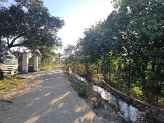 Lô diên an vị trí đẹp đường rộng 5m gần trung tâm tp nha trang.giá bán rẻ nhất thị trường 980 triệu