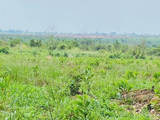 Bán đất 10.798 m2 tại phường tân thành, tp.hcm giá bán 75 tỷ, sổ hồng chính chủ