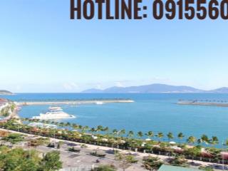 Bán đất mặt biển nha trang đường nguyễn cơ thạch giá 115 triệu/m2 sổ đỏ riêng vị trí đắc địa