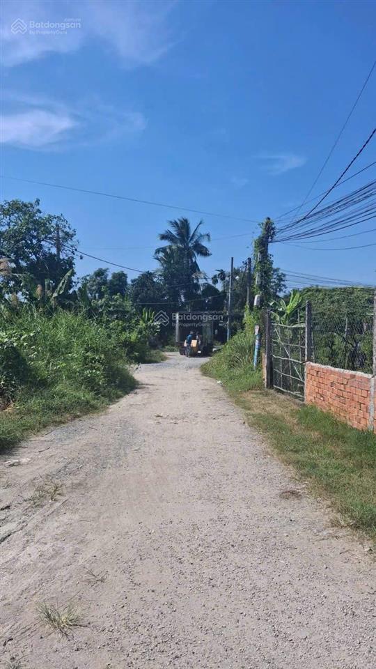 Đất vườn bình mỹ củ chi. 1000m2 có vườn cây ăn trái sẵn. chỉ 3,5 tỉ. đường ô tô