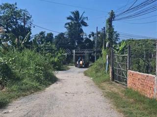 Đất vườn bình mỹ củ chi. 1000m2 có vườn cây ăn trái sẵn. chỉ 3,5 tỉ. đường ô tô