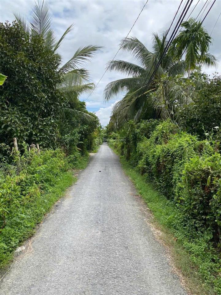 Đất vườn bình mỹ củ chi. 1000m2 có vườn cây ăn trái sẵn. chỉ 3,5 tỉ. đường ô tô