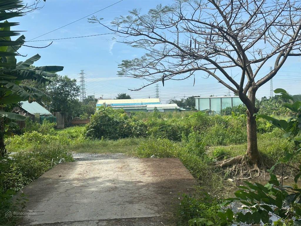 Đất có thổ cư bình mỹ, củ chi. 500m2 có 300m2 thổ cư