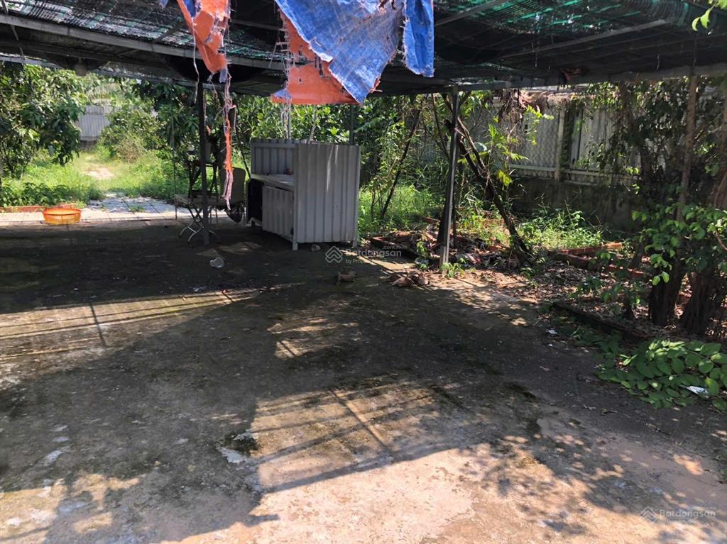 Khuôn viên nhà vườn bình mỹ củ chi. 537m chỉ 2,4 tỉ