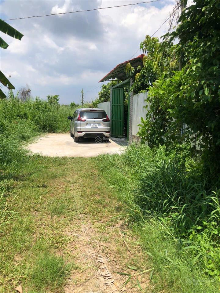 Khuôn viên nhà vườn bình mỹ củ chi. 537m chỉ 2,4 tỉ