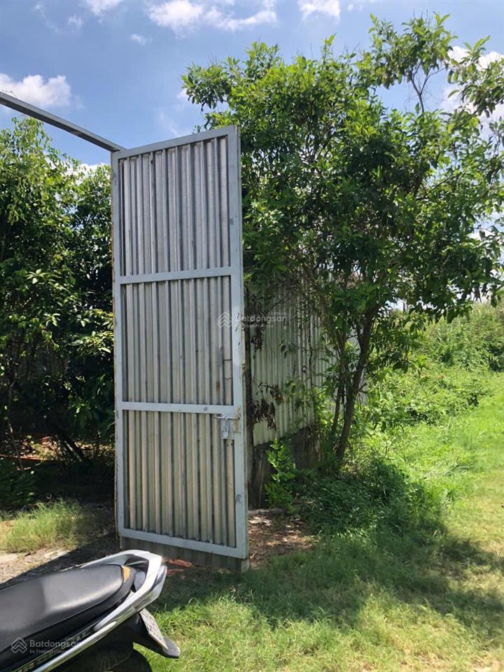 Khuôn viên nhà vườn bình mỹ củ chi. 537m chỉ 2,4 tỉ