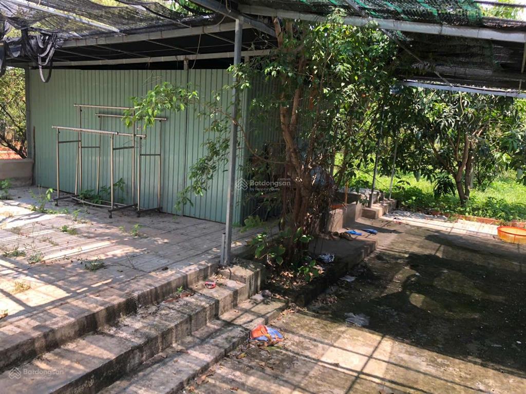 Khuôn viên nhà vườn bình mỹ củ chi. 537m chỉ 2,4 tỉ