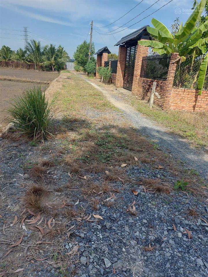 Bán đất bình mỹ củ chi 500m2 giá 1,8 tỷ đường ô tô