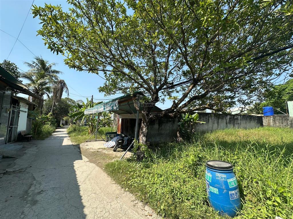 Đất đẹp bình mỹ củ chi  chỉ 50m ra đường bình mỹ  giá 2,95 tỷ